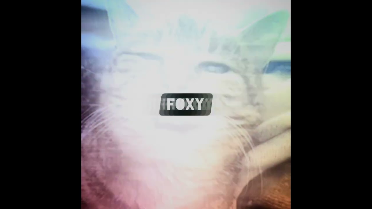 Watch FOXY FIN - HOW HIGH on YouTube Watch FOXY FIN - HOW HIGH on YouTube