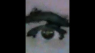 So Jameson Jackson Is In Trouble Des Talks About Egos