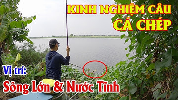 Kinh Nghiệm Câu Cá Chép Sông Nước Tĩnh |17B6 - Ngã Ba Trạng Cày Điểm Săn Hàng Lý Tưởng