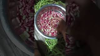 Bemu ( Beans 🫛🫘) Advertisement #youtubeshorts #ytshorts #youtubevideo #ytviralvideo