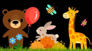Baby Sensory Video - High Contrast - Sensory Videos For Babies - Visual Stimulation For Newborn