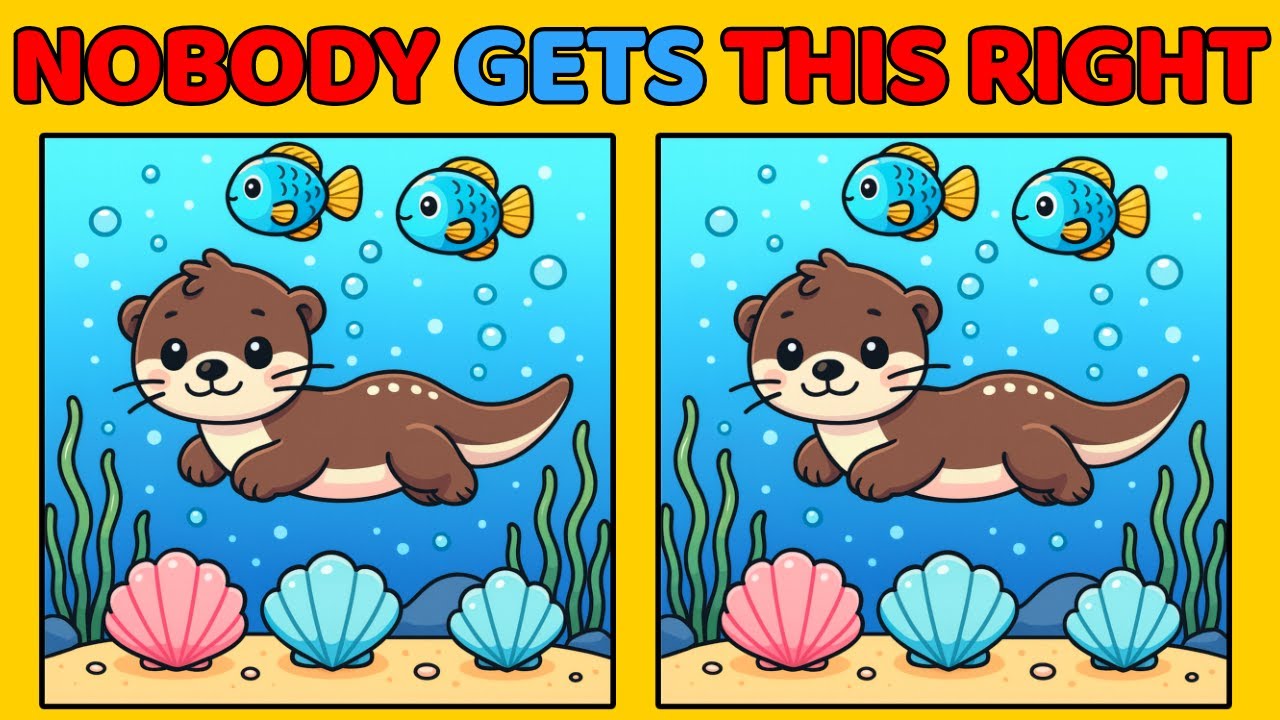 🧠🧩Spot the 3 Differences | Fun Illustration #113 - YouTube
