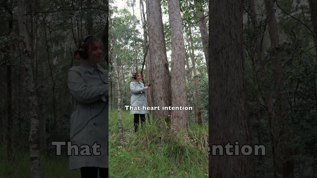 Should we save trees?