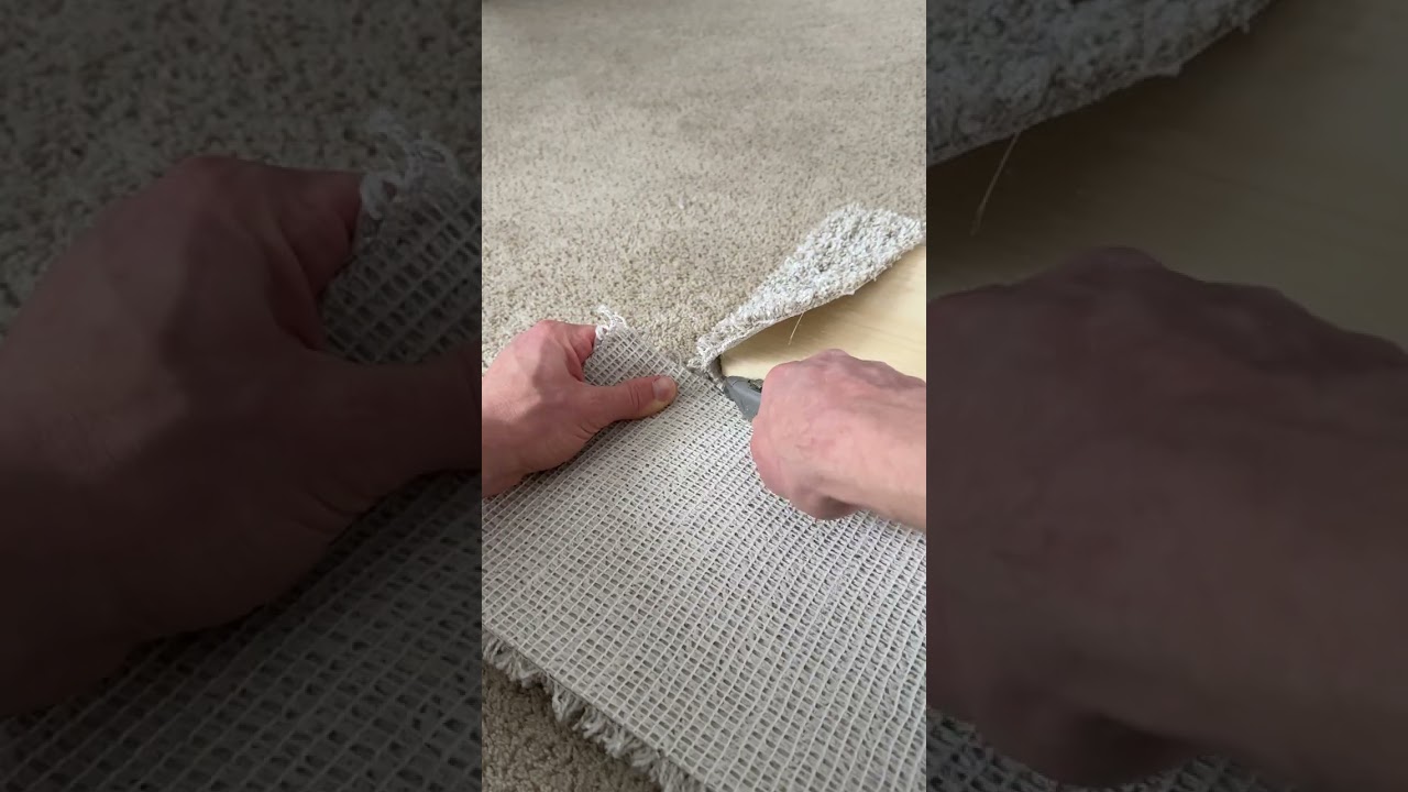 How to Make Cat Shelves #cat