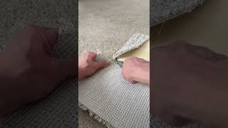 How To Make Cat Shelves