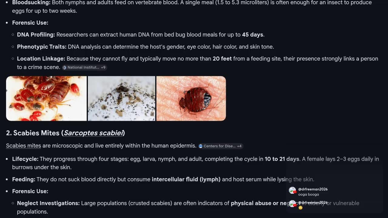 Egg hatching, need to go to hospital. Erik hurry up