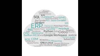 Holistinformatics Word Cloud