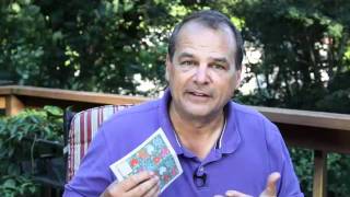 Creative Appreciation