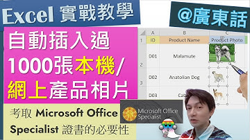 《Excel教學@廣東話045》一次過插入1000張 本機 或 網上 產品圖片 | 自動產生新同事見工相 | Excel 365 MOS考試預備課程- Jocason Excel