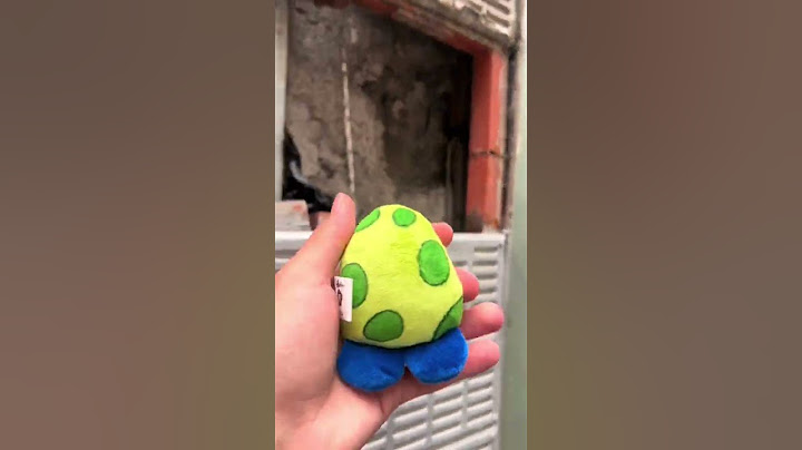 anyone know what this is?