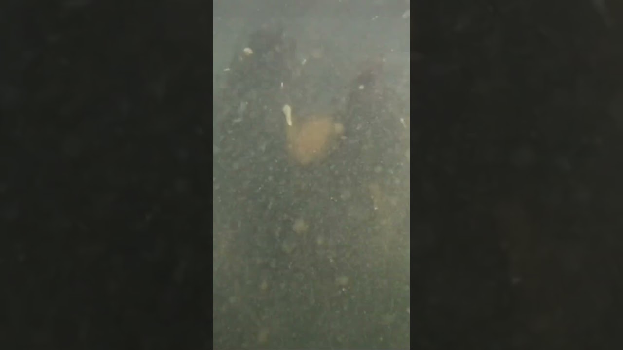 This is what happens when you fall in the ocean… 