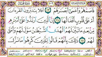 القرآن الكريم مقسم صفحات | الشيخ حاتم فريد | سورة محمد | صفحة 509 مكتوبة | مصحف التجويد الملون