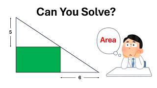 The Rectangle Area Problem Most People Get Wrong