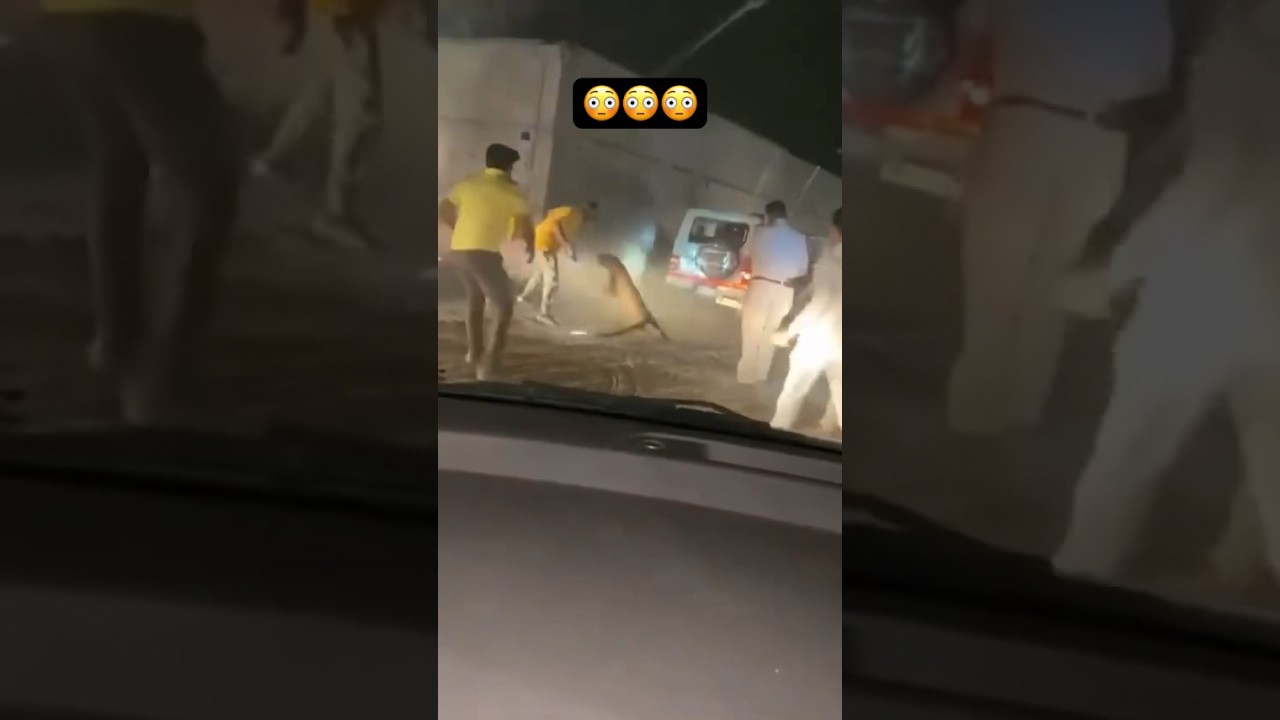 Police vs Tiger 🔥😳😳😳 