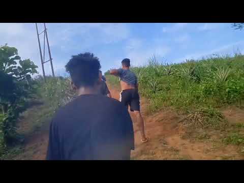 hy✋ Helo mosara hy✋ Helo mosara