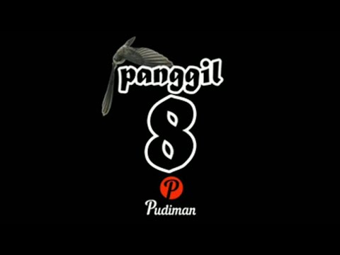 SP POPULASI. SUARA WALET ORIGINAL BAN. OPEN PROTECT. LINK DI DESKRIPSI.