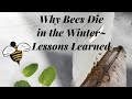 WHY BEES DIE IN THE WINTER ~ LESSONS LEARNED