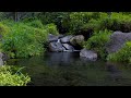 River Sounds for Sleeping | 12 Hours Calm River Ambience for Uninterrupted Rest [No Talking]