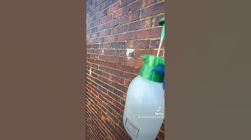 Soft washing and removing efflorescence stain on brick church👍🏼