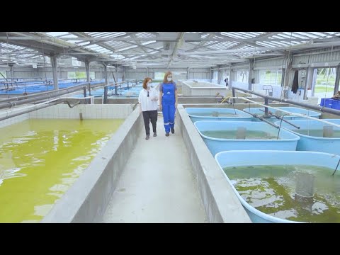 Два берега - одна судьба