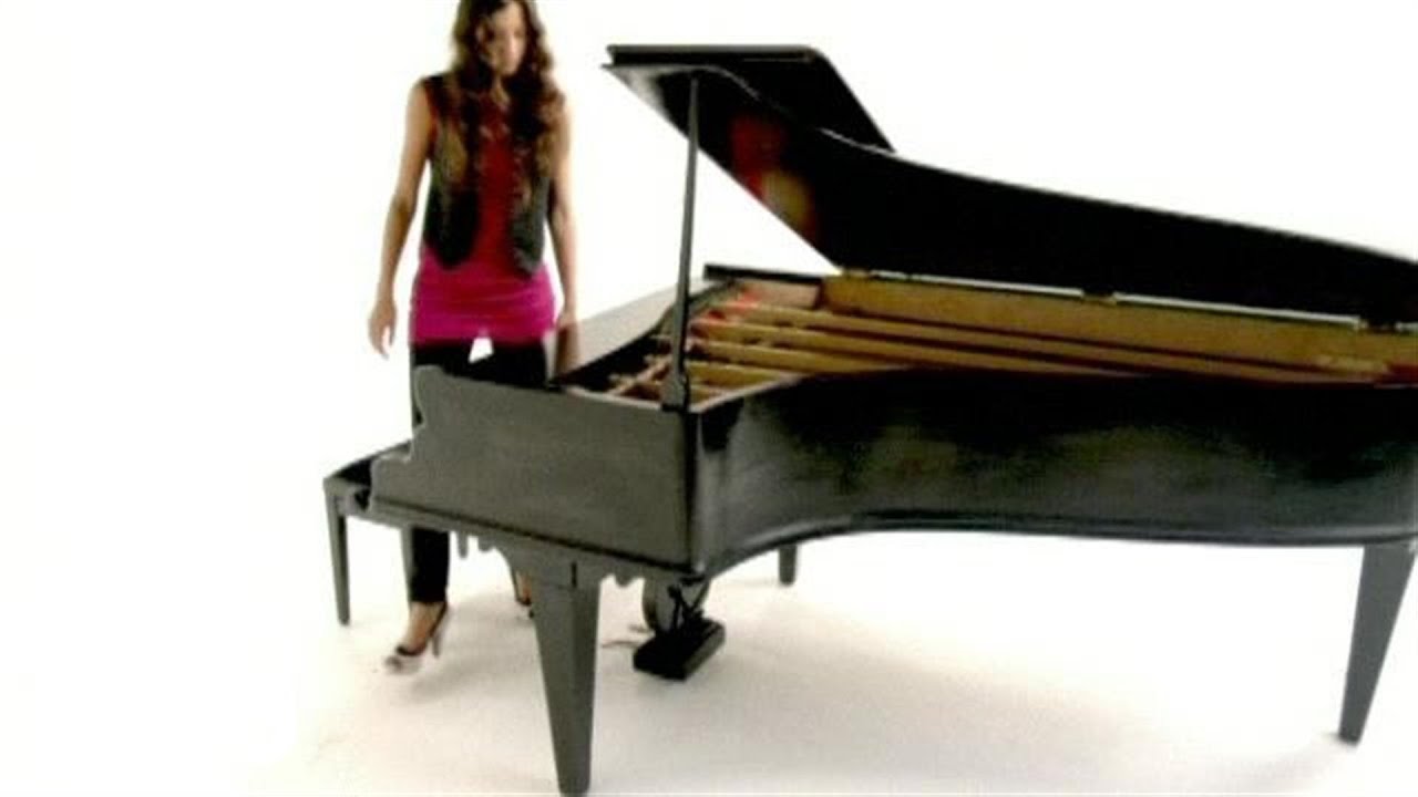 Pauline (France) - Allo Le Monde