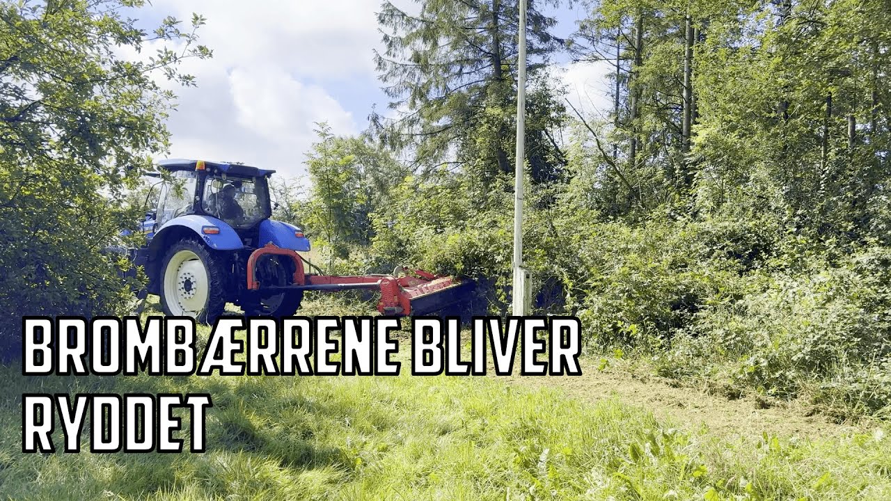 Brakpudser rydder brombær i haven - #6