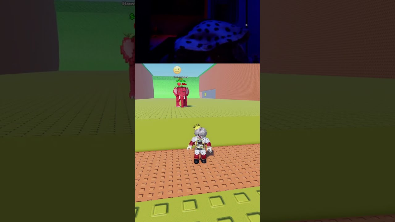 roblox best gameplay
