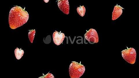 Strawberry Falling Alpha | Stock Footage - Envato elements