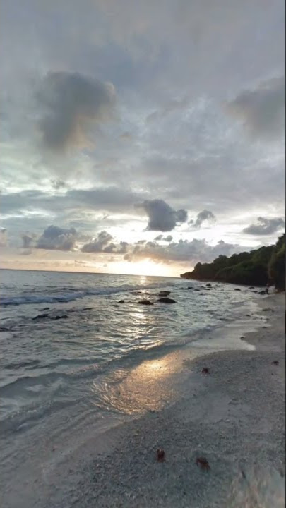 Ethel beach green screen