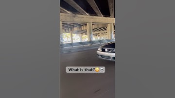 I will take you down Terminator ￼#terminator #svt #cobra