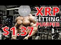 XRP Ripple BREAKING news: $1.37 TODAY! Judge GRANTS Ripple execs' motion - SEC denied personal info!