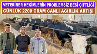 Veteriner Hekimlerin Problemsiz Besi Çiftliği | Günlük 2200 Gram Canlı Ağırlık Artışı