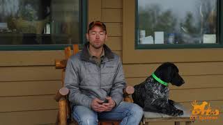 Conditioning Training for Hunting Dogs: Hot and Cold Temperature Concerns
