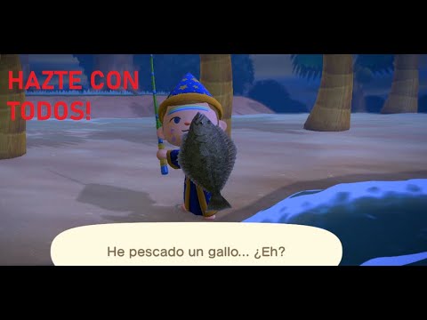 COMO PESCAR UN GALLO EN 30 SEGUNDOS! ANIMAL CROSSING NEW HORIZONS ...