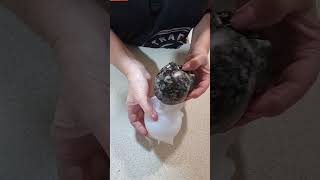 Black And White Stone Skull.