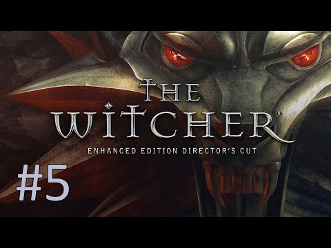 Прохождение The Witcher: Enhanced Edition - Глава 1. Часть 3. Окрестности Вызимы