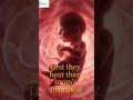“Inside the Womb: What Your Baby Hears ❤️ #Shorts # #baby #anatomyshorts #pregnant #babyinsidewomb