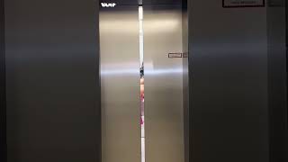 Angela Finger Erben Social Media