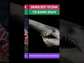 Deadliest Creatures In The Ocean 7