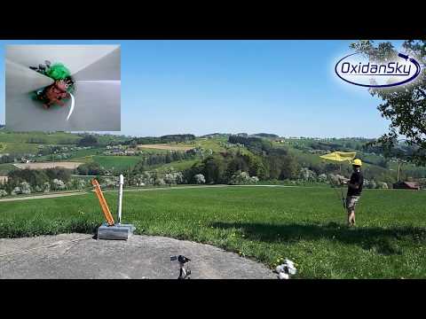 Not Without My Handbag  - Bellyache! [FULL ALBUM]