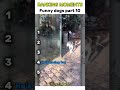 Dogs funny videos 🤣 part 10 #dog #dogs #dogvideos #viral #shorts
