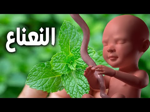 هل تعلم ما يحدث للجنين والام عند تناول النعناع أثناء الحمل
