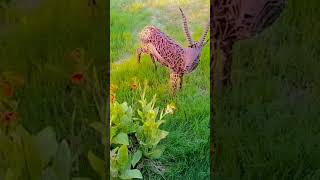 new park visit part 2😁😁 #parkviews #newvideo #trending
