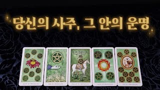 [타로] 당신의 사주, 잘된 모습과 그 안의 운명을 읽어드려요