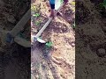 #shorts😂