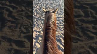 Pedro’s first ever ride bareback with the pad