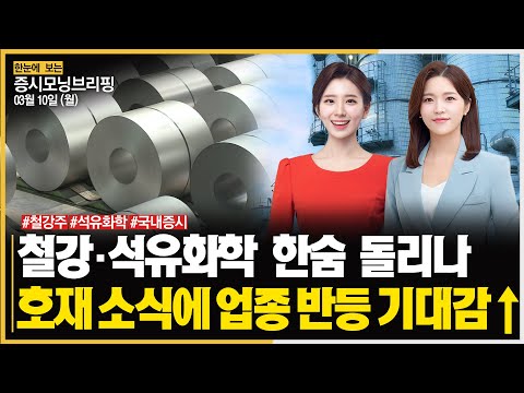 [모닝브리핑] 철강, <strong>석유화학</strong> 한숨 돌리나ㅣ호재 소식에 업종 반등 기대감↑ #철강주 #<strong>석유화학</strong> #국내증시 주목!ㅣ한국경제TVㅣ머니플러스