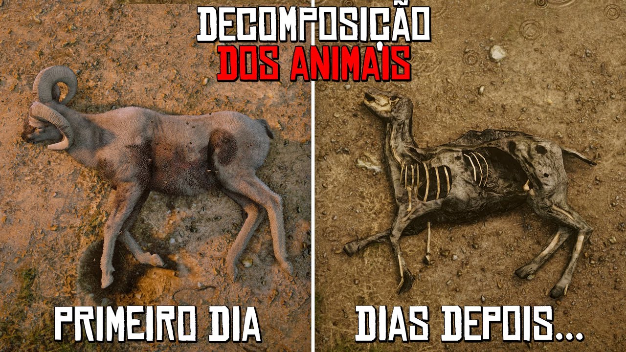 DETALHES INCRÍVEIS DO RED DEAD REDEMPTION 2 #4