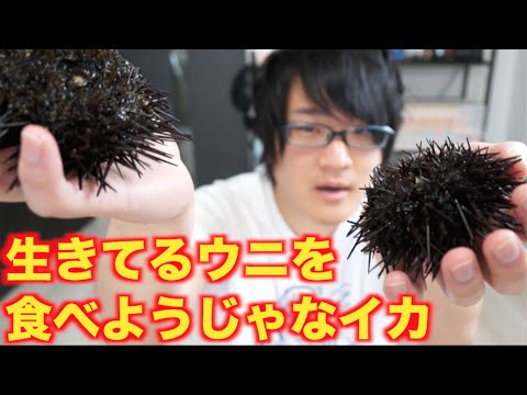 元気なウニをさばいて食べるよ！！