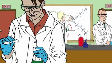 Conjugated Polymers Part II